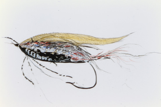 Depleted Fly