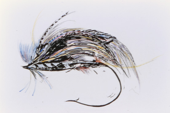 Fine  Fly
