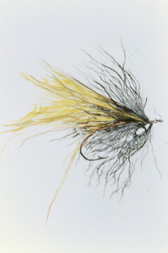 Inflated  Fly