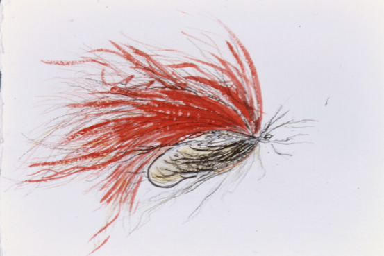 Mad Red  Fly