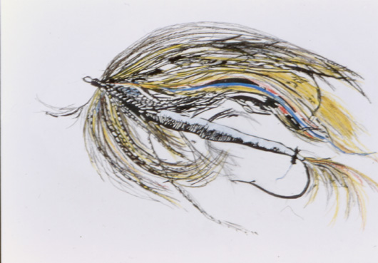 Speckled  Fly
