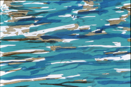 Trout Pond 2
