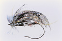 Fine Fly