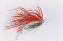 Mad Red Fly