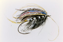 Silver Fly