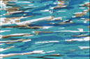 Trout Pond 2