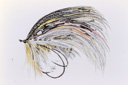 Wild Fly